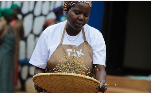 africa-changing-the-gender-bias-in-agriculture