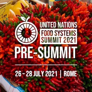 united-nations-food-systems-summit-2021-pre-summit