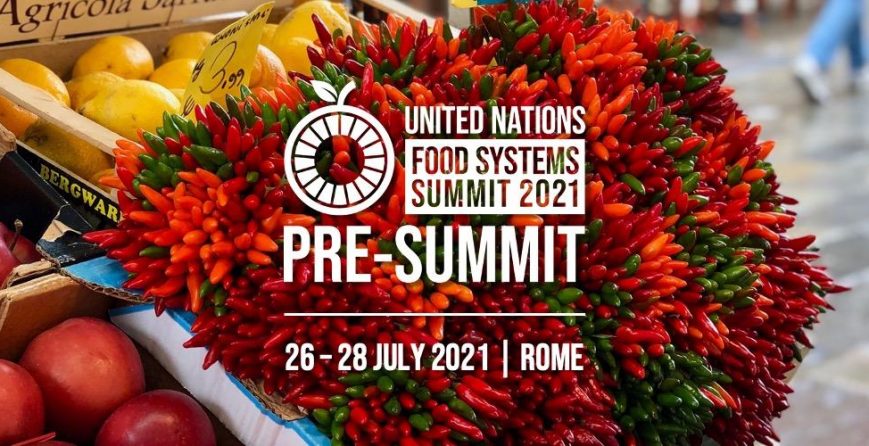 united-nations-food-systems-summit-2021-pre-summit